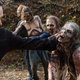 Illustration for article titled The Showrunner of iThe Walking Dead /iThinks a Feature Film Is Inevitable
